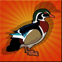 Play Games2Jolly Wood Duck Escape