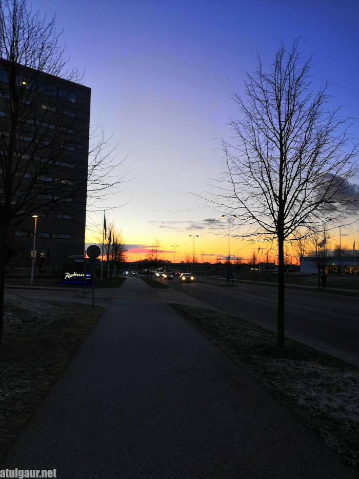 January Morning in Lund Atul Gaur