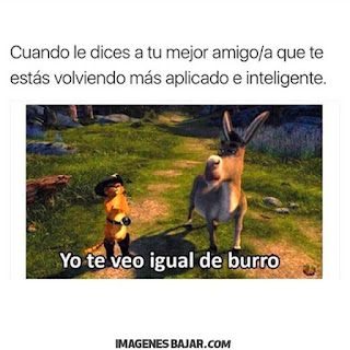 Imagenes Graciosas Chistosas Memes para reir