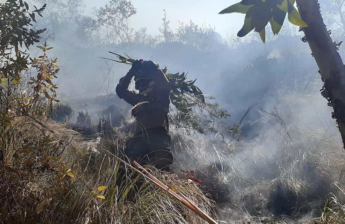 Voluntario sofocando las brazas en uno de los puntos de incendio en San Ignacio / MMAYA