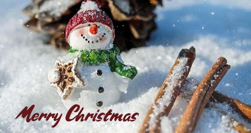 Top 100 Christmas Quotes to Inspire This Holiday Season