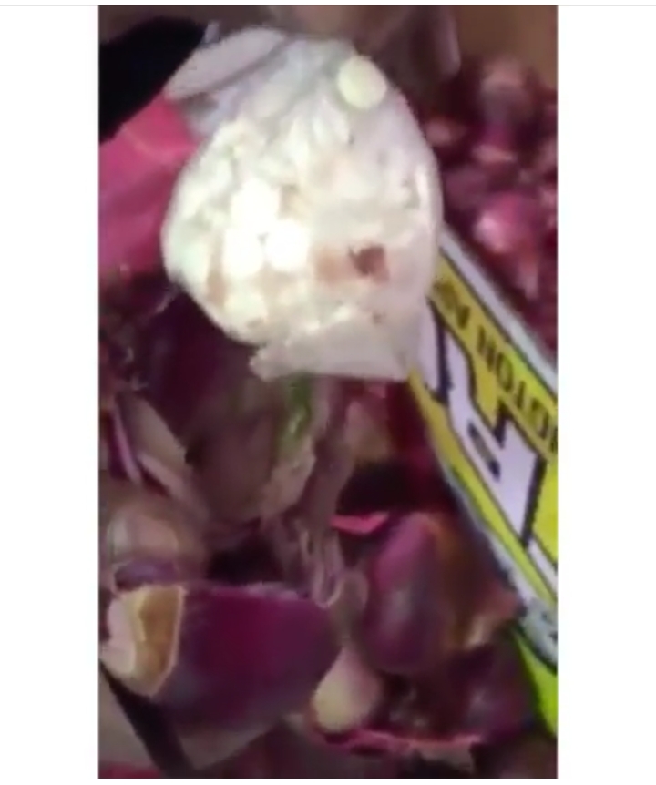 Drug Markets Onion