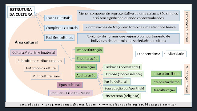 mapa conceitual elementos e estrutura da cultura