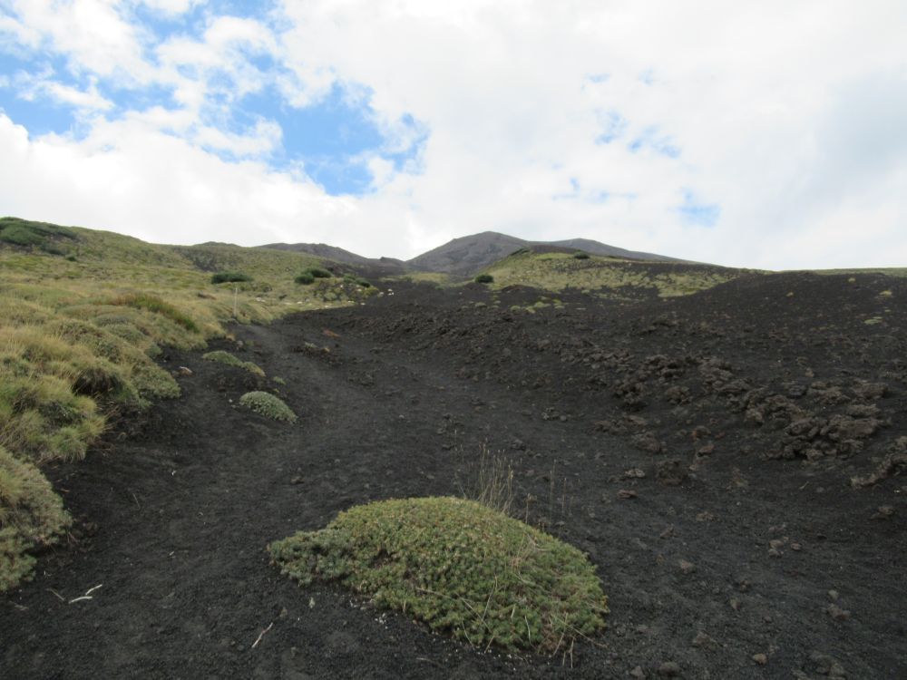 Volcanic Landscapes: Goats of Etna volcano, 07.09.2020