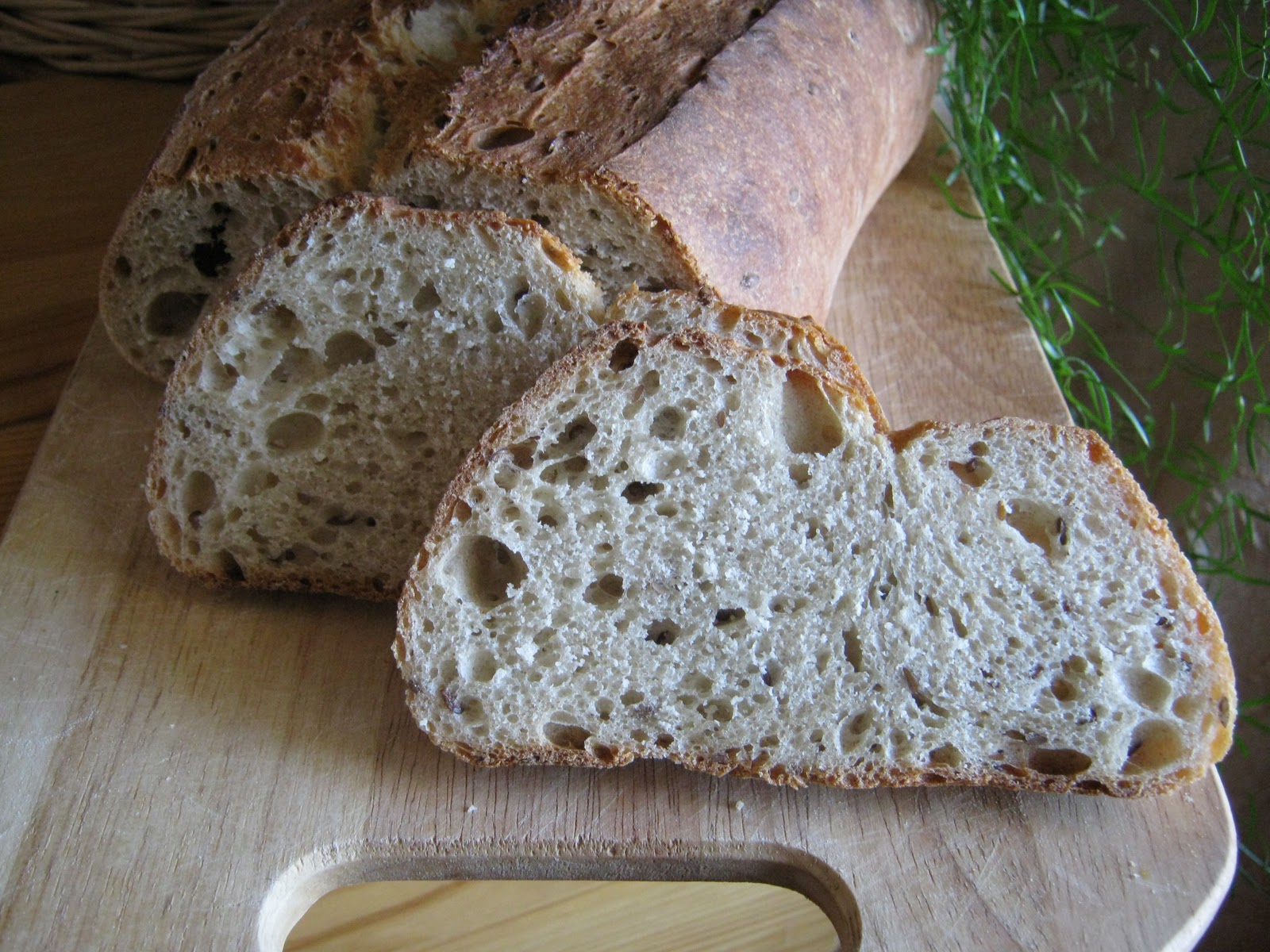 Кусочек хлеба с плесенью. Плесневый хлеб. Хлебная плесень. Заплесневелый хлеб. Хлеб покрытый плесенью.