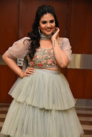 Telugu Actress Sreemukhi Latest Photos at Crazy Uncles Movie Pre Release Event. HeyAndhra.com