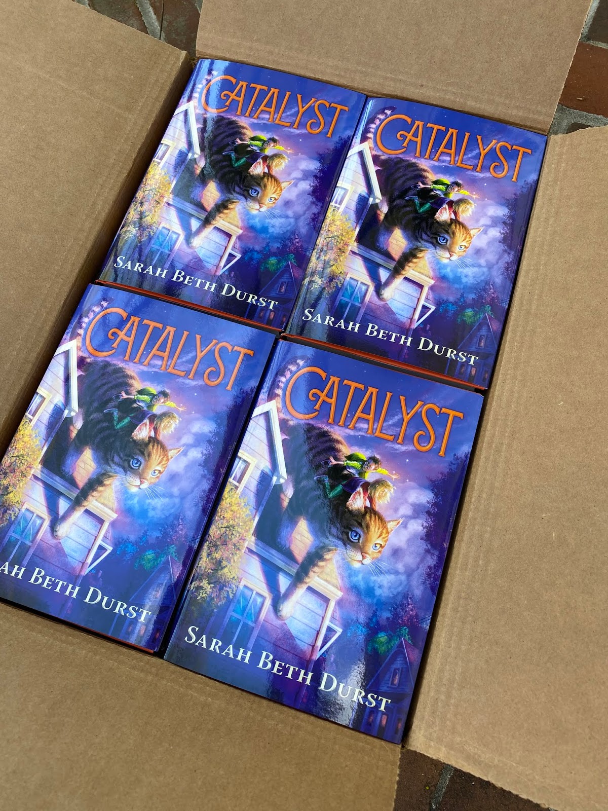 Sarah's Journal May 2020