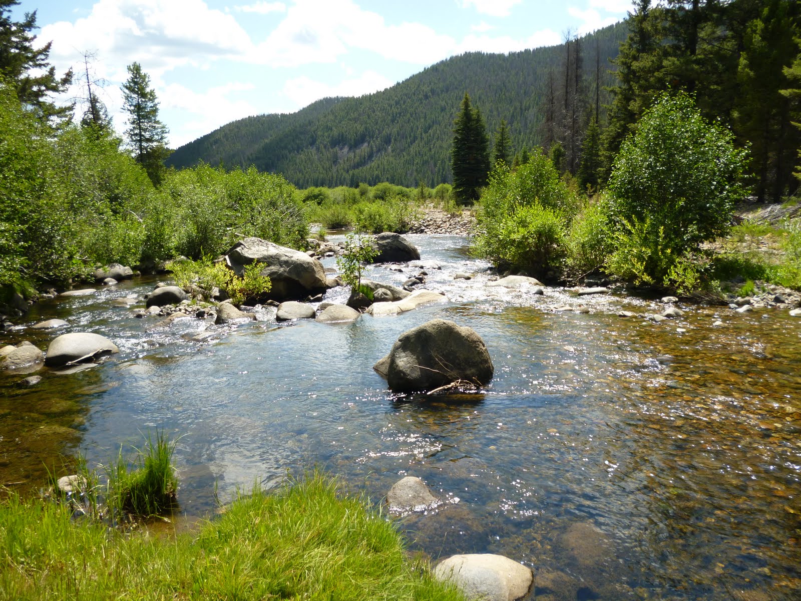 Just a Minute Montana Fly Fishing