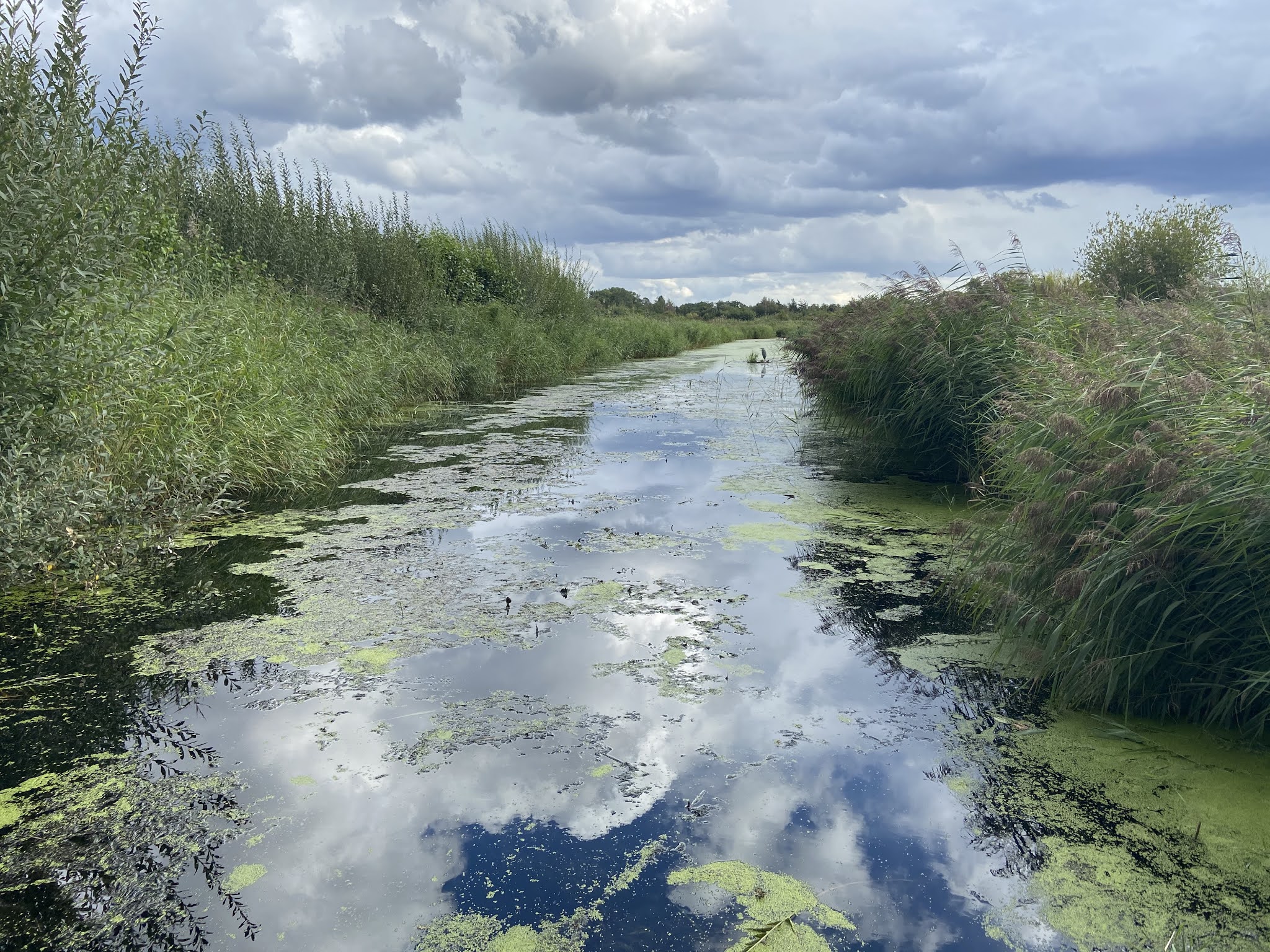 My Orange Brompton Rain and lots of it on a Brompton