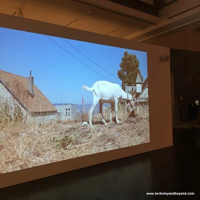 "Milk and Honey" video exhibit in Jewish Folktales Retold show at Contemporary Jewish Museum in San Francisco