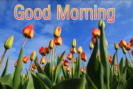 New Good Morning New Good Morning