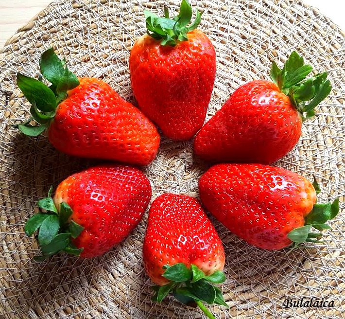 Natillas caseras con fresas