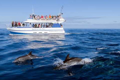 Naturaleza visitar Gran Canaria Naturaleza visitar Gran Canaria