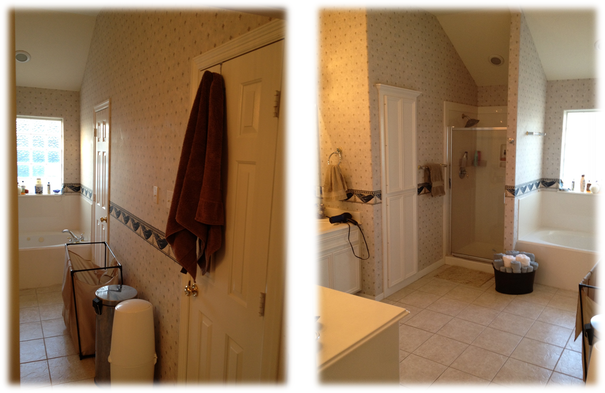 Engineering Life and Style The Master Bathroom....And a Little Life