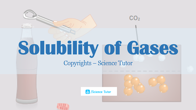  Solubility of Gases