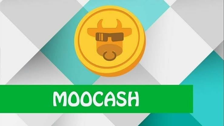 Moocash Moocash