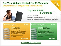 Hoster Frog Free Website Hosting Plan