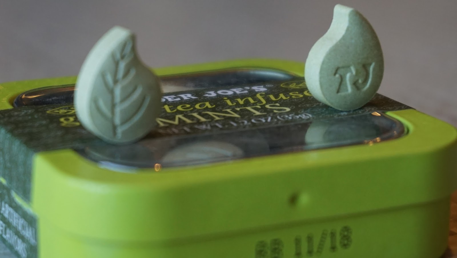 A Guide To Northeastern Gardening Colorful Evergreens In The