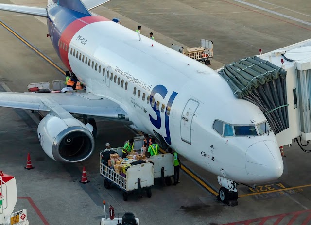 Sriwijaya Air SJ182 crash: What might have happened