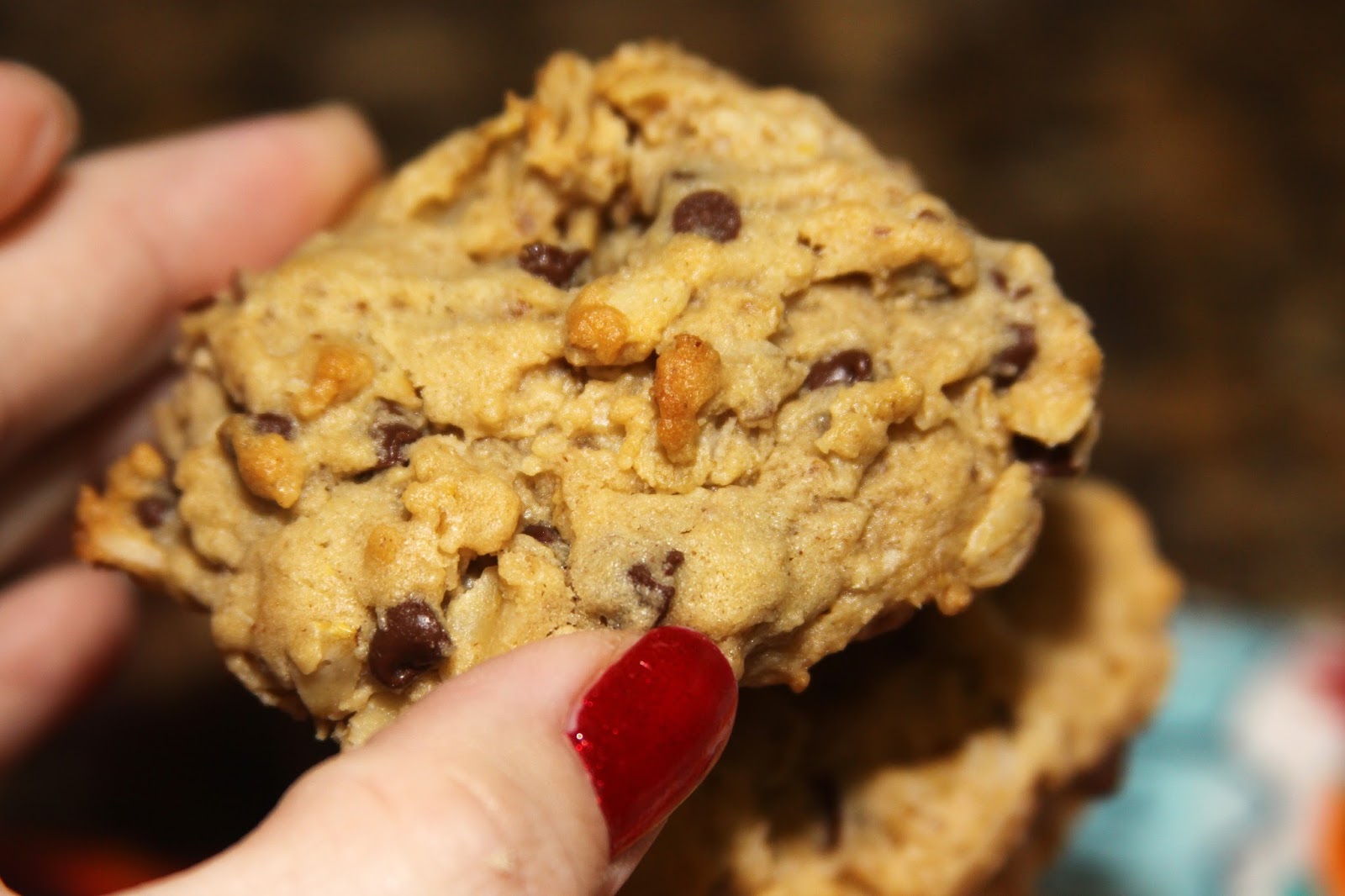 For the Love of Food Chocolate Peanut Butter Lactation Cookies