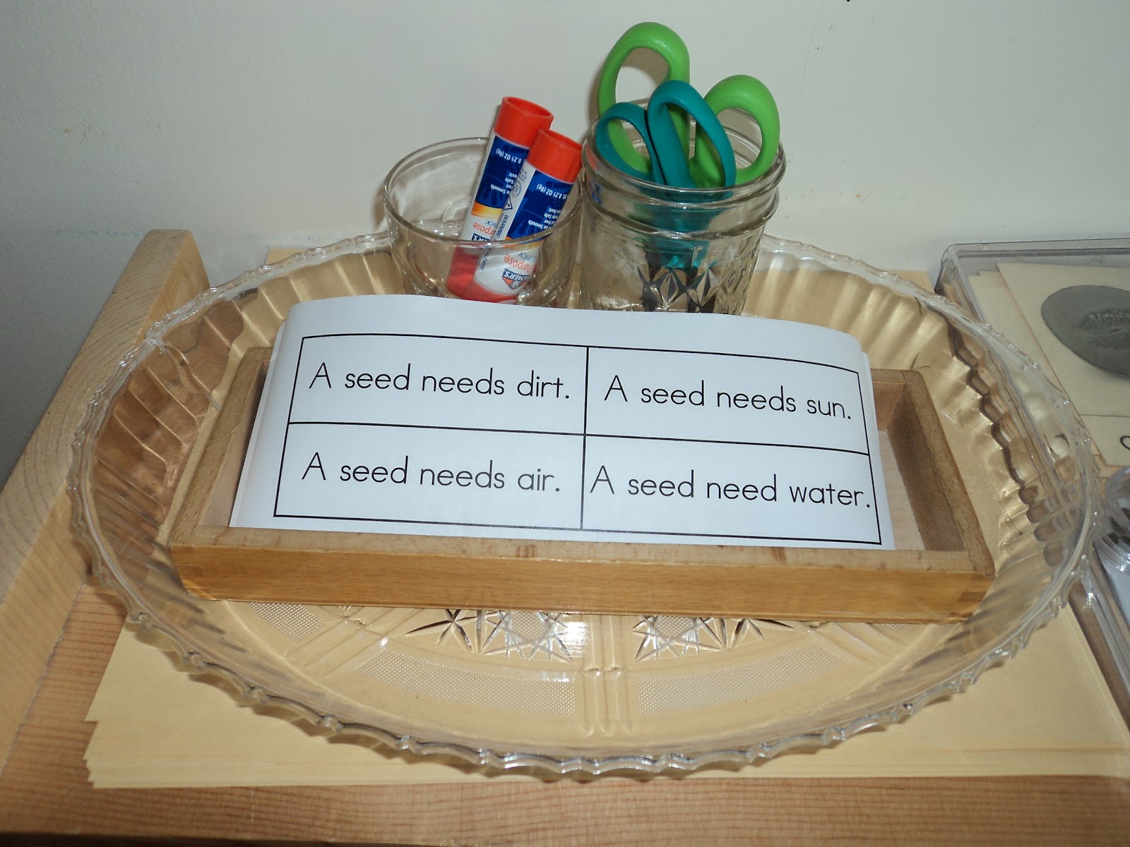 Crazy About Montessori A Seed Needs