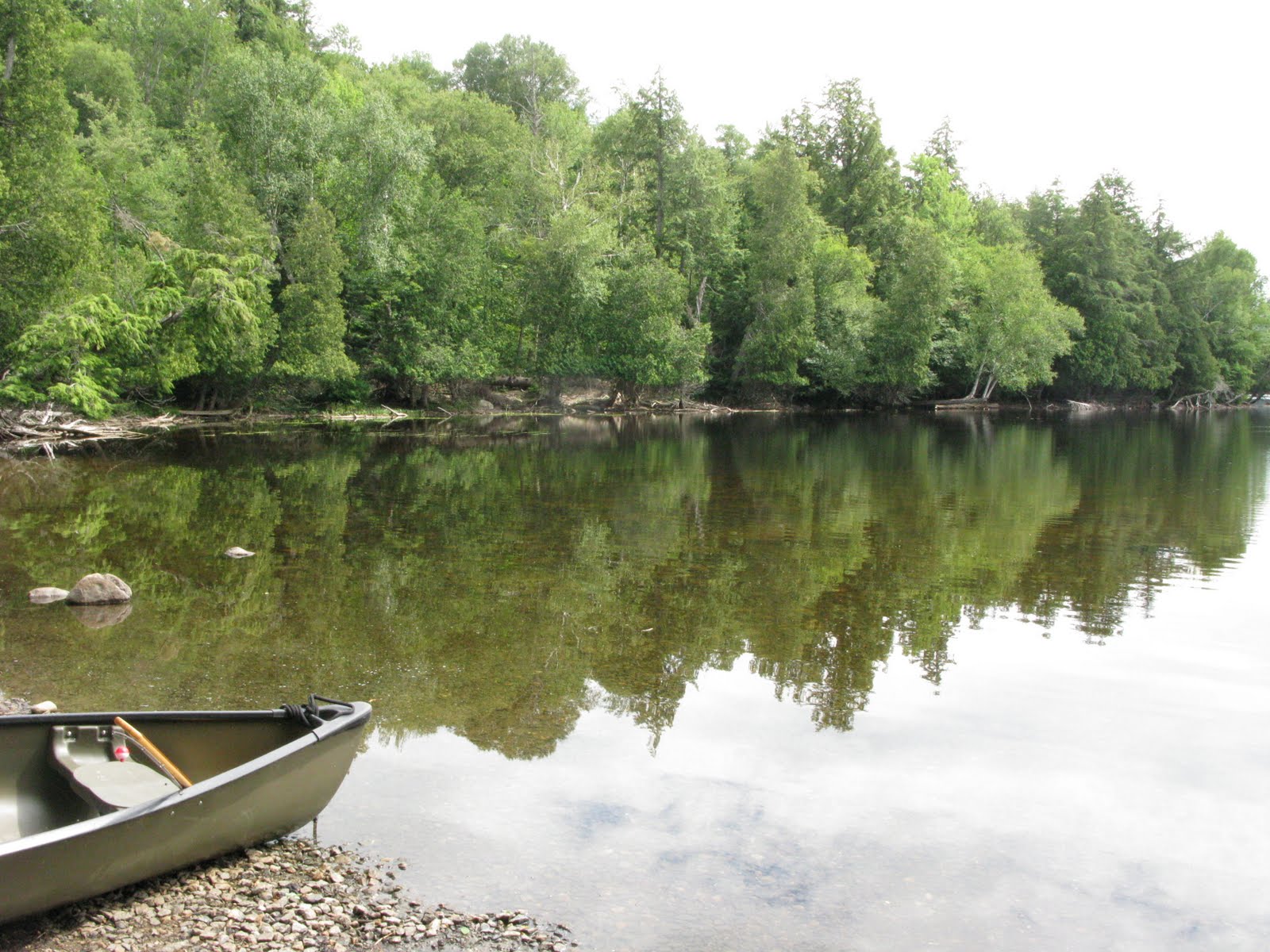 Meandering... Moose Pond, Adirondacks