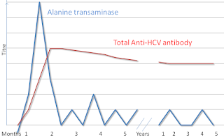 Hepatit c enfeksiyonun serolojik profili