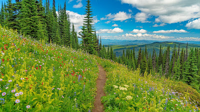 Landscape, mountains, path, trees, flowers, grass