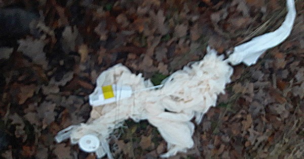 Radiosonden Punktlandung am Timmerhorner Teich