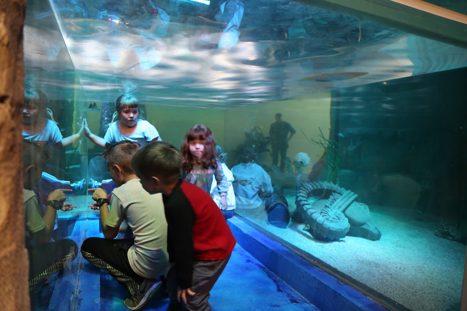 SeaQuest Aquarium Birthday Package Making Life Blissful
