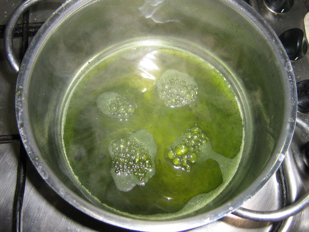 ITALIANI IMBECILLI Il mio test sull'estratto di Stevia