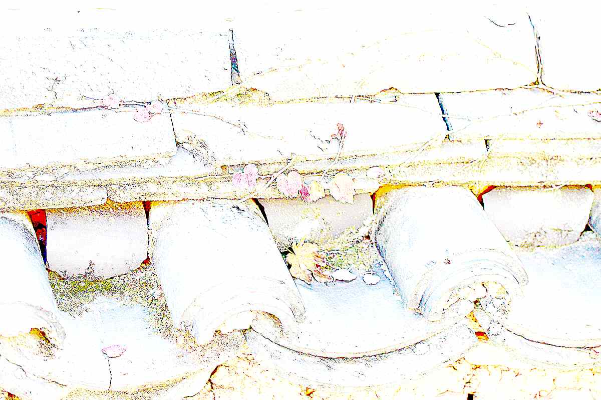 순천 조계산 선암사 순천 조계산 선암사