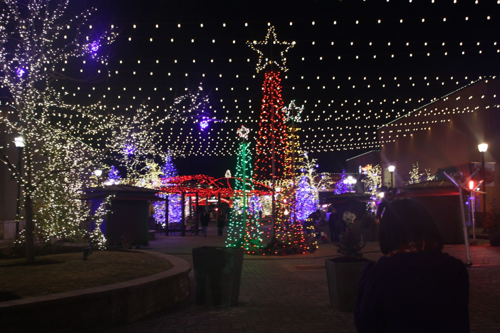 Libby's Latest Christmas Lights at the Riverwoods