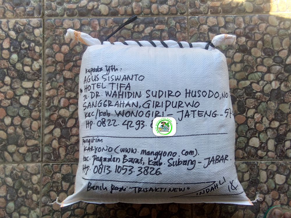 AGUS SISWANTO Wonogiri, Jateng. Pembeli Benih Padi