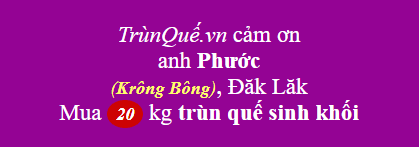 Trùn quế Krông Bông