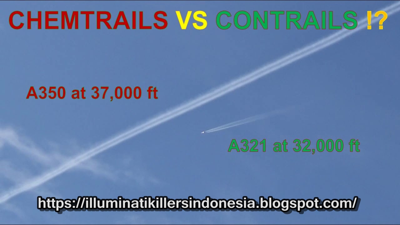 Chemtrails over the Country Club обложка. Chemtrails over the Country Club Постер. Песня chemtrails over the country