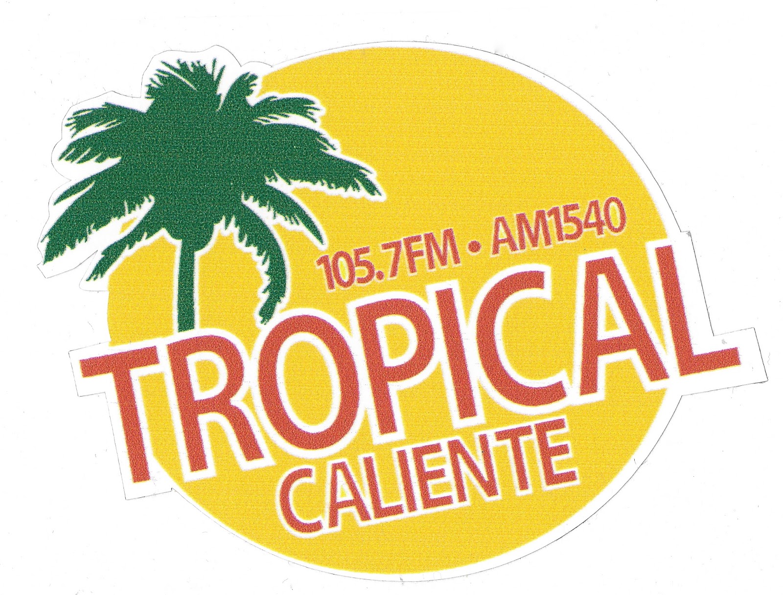 тропический тест. листья пальмы текстура. от малярии синяя упаковка. всемирный день тропического леса (world rainforest day) 22 июня. тропический тест.