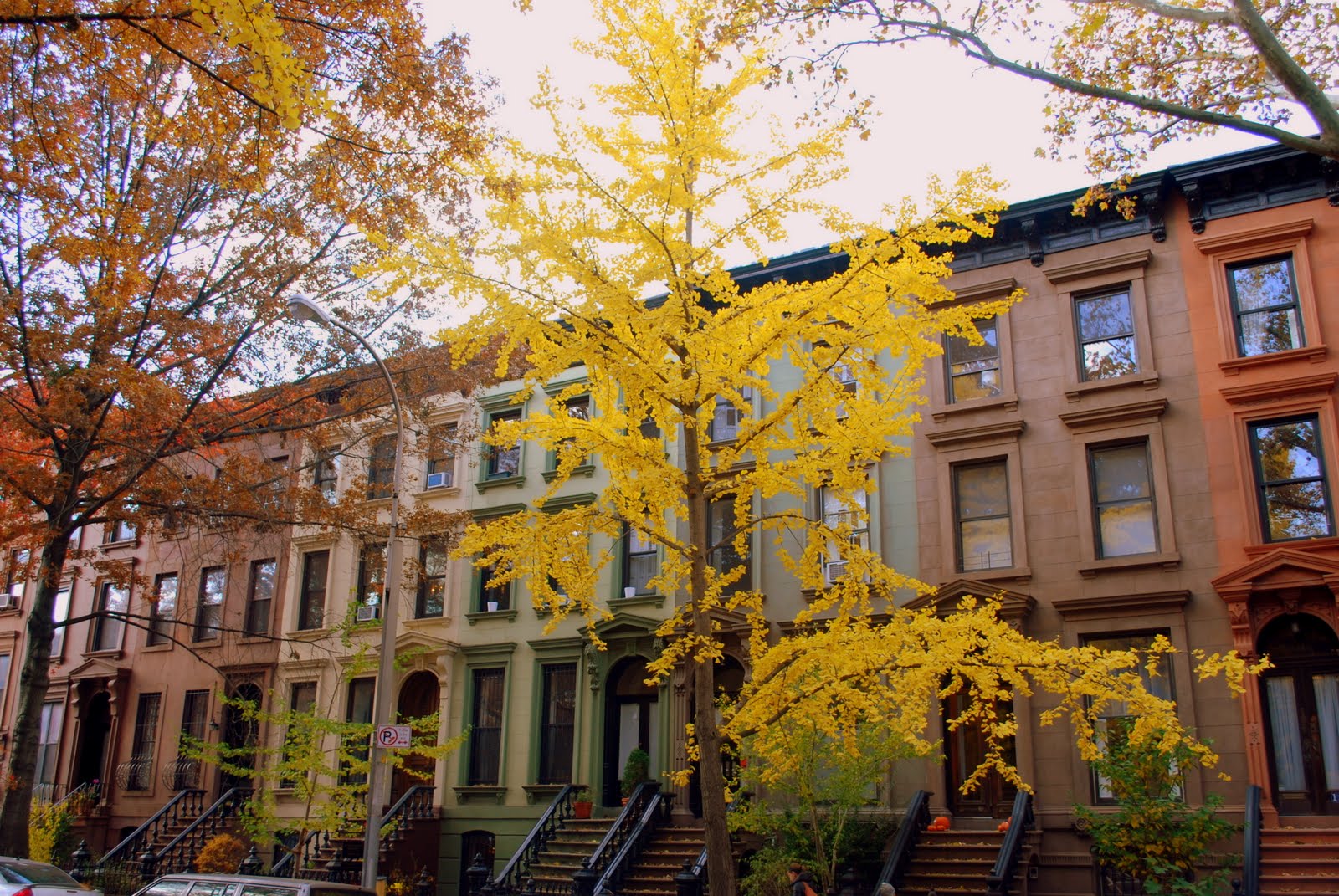 Mille Fiori Favoriti Autumn In Park Slope, Brooklyn