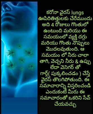 what-happens-in-body-when-original-corona-virus-is-infected what-happens-in-body-when-original-corona-virus-is-infected