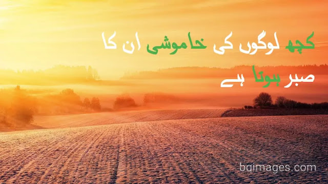 sabar quotes in urdu