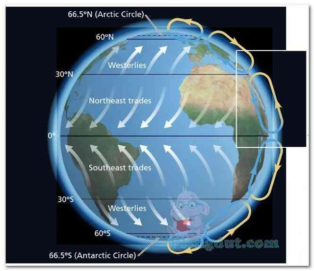 Sirkulasi pola udara global di bumi