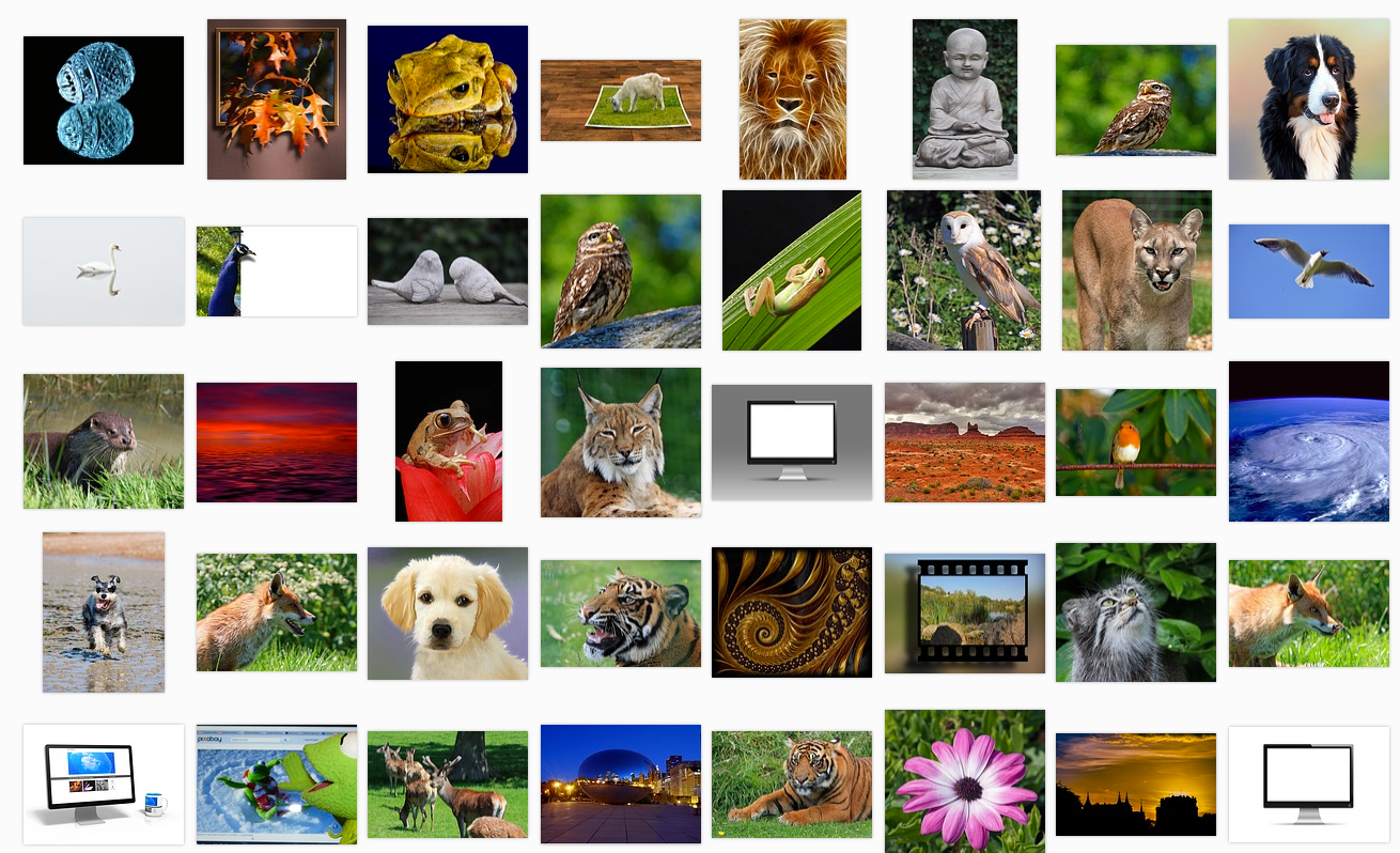A Wonderful Resource of Free Public Domain Images to Use in Class