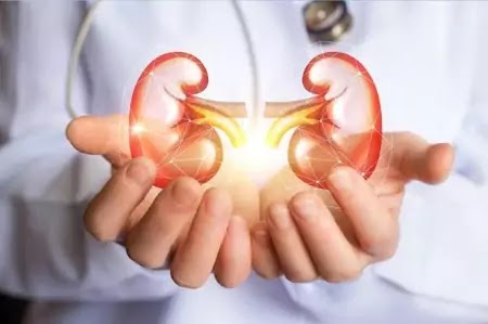 How To Cleanse Your Kidney
