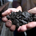 GETTING THE SOCIAL COST OF CARBON RIGHT / PROJECT SYNDICATE