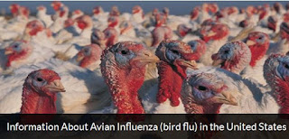Avian Flu Diary: CDC Guidance For People Exposed To Birds Carrying ...