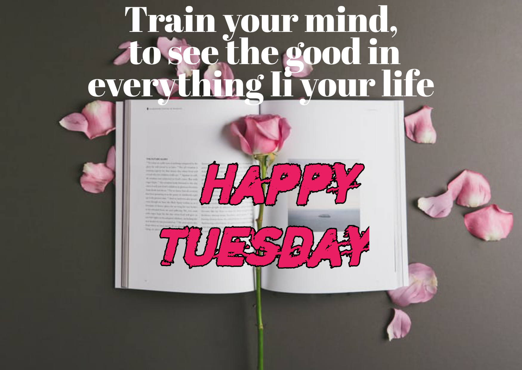 Happy Tuesday images, wishes, wallpaper, quotes, for whatsapp, Facebook,