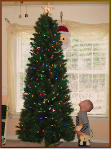 "Never worry about the size of your tree.  In the eyes of children, they are 30 feet tall."