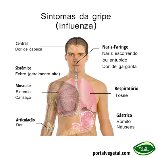Centro de Estudos em Farmacovigilância da UNIFAL: Vacina ...