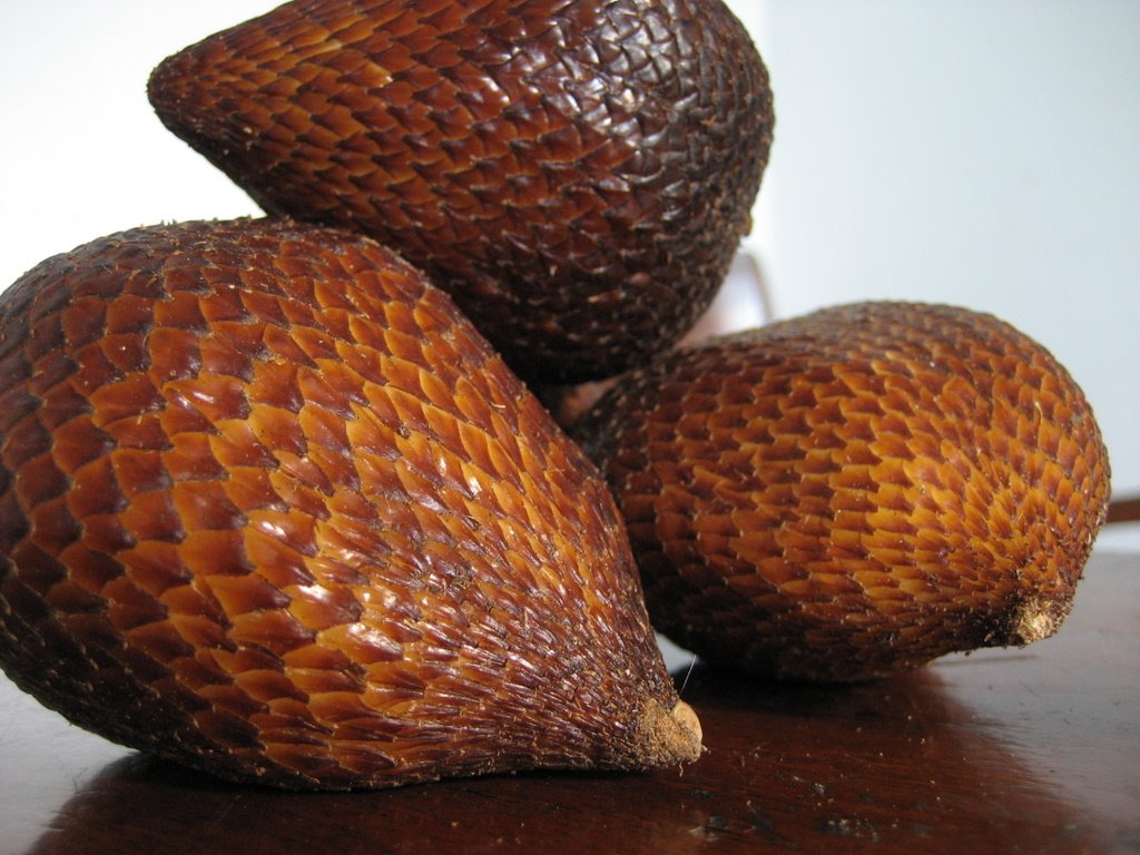 AnyTen: 10 Most Unusual Fruits