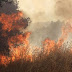 ΣΥΝΕΧΗΣ ΕΝΗΜΕΡΩΣΗ... Καίγεται ο τόπος σε Κουνουπέλι Σαμαρέικα-Ώρες αγωνίας για το οικοσύστημα-Η φωτιά μπήκε στο δάσος της Στροφυλιάς-Απομακρύνονται λουόμενοι